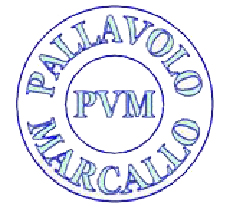 Logo Pallavolo Marcallo